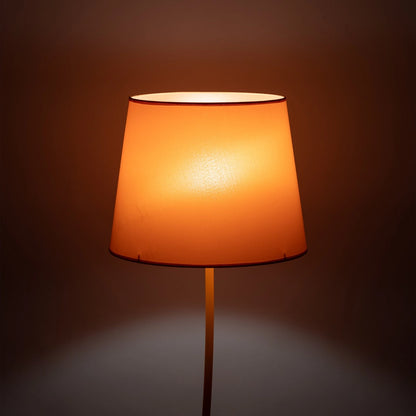 Nicola Orange Mid-Century Modern Floor Lamp