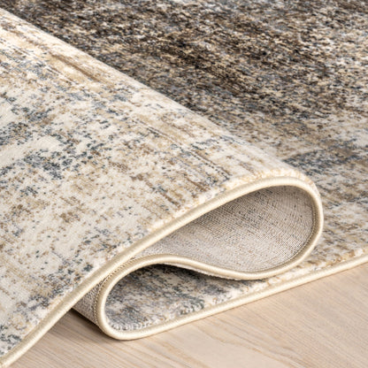 Rhae Contemporary Abstract Area Rug