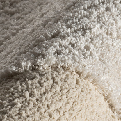 Gloria Abstract Shag Area Rug