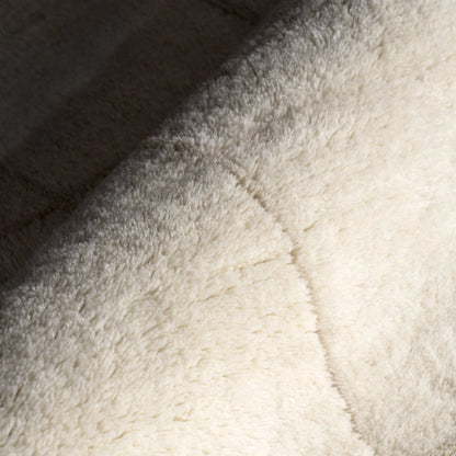 Cove Checked Wool Area Rug