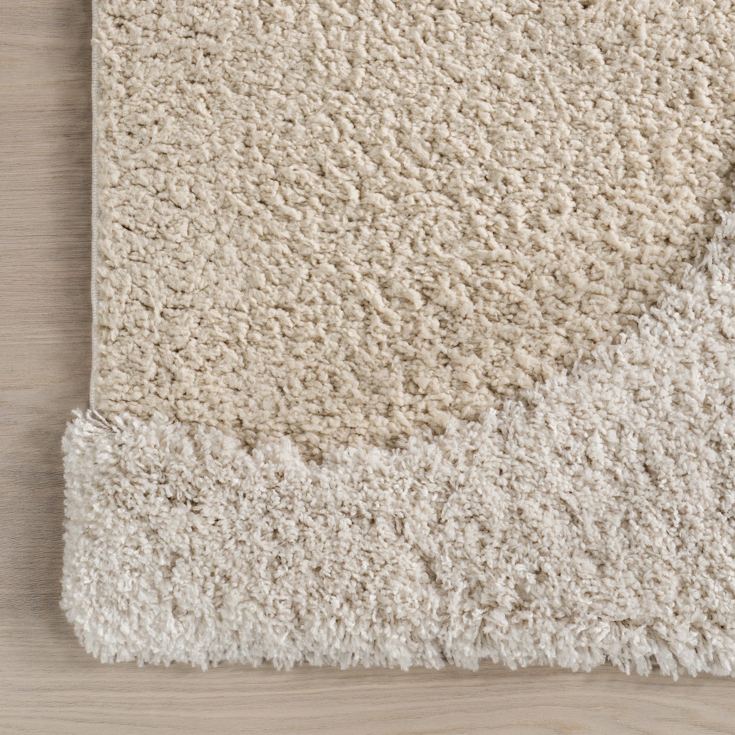 Gloria Abstract Shag Area Rug